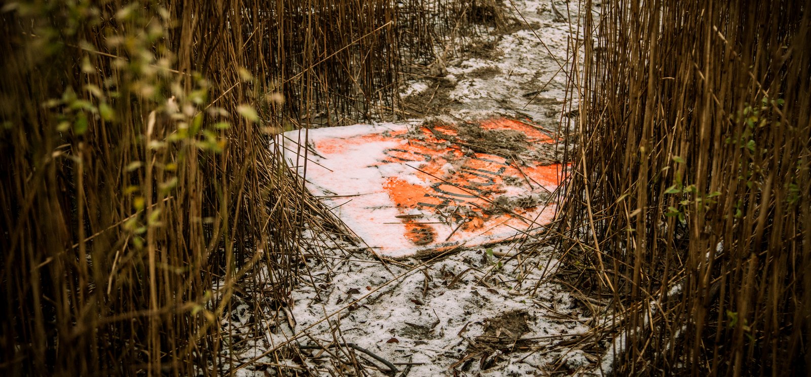 art-of-sandy-mo-staten island 2-103.jpg